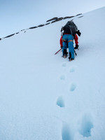 Ben briefly climbs ahead of me to see if that'll help him not sink knee deep in the tracks!