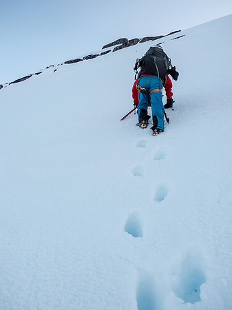 Ben briefly climbs ahead of me to see if that'll help him not sink knee deep in the tracks!