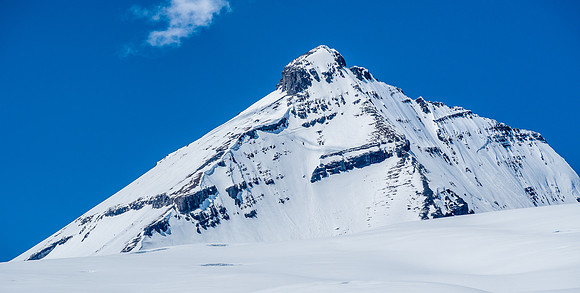 The gorgeous form of Mount King Edward beckons strongly.