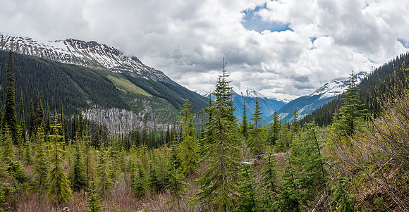 Great scenery already from the NW corner of the second clear-cut looking back.