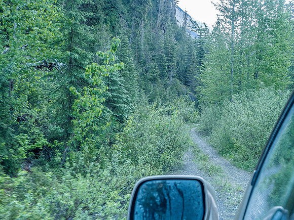 The road.
