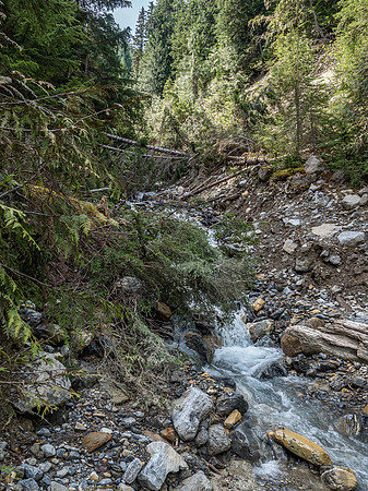 This stream provided temporary relief from the blistering sun.