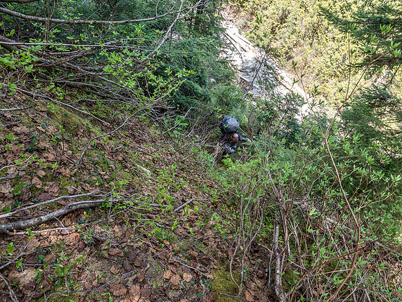 The price we paid for the stream was a very deep gorge and tough exit back to the forest above.