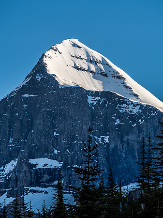 The incredibly beautiful Mount Columbia stretching into the heavens like a sharks fin.