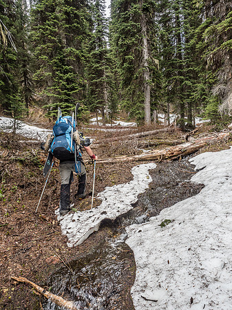 We started running into snow almost immediately in the trees.