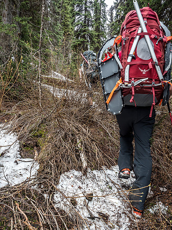 Thanks to the snow cover we did get off trail a few times.