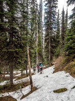 We started running into snow almost immediately in the trees.