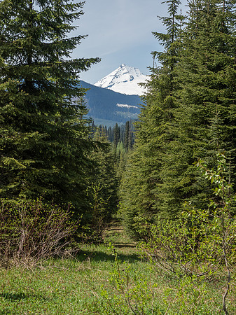 A glance back along our escape road with King Eddy still taunting us far in the distance.