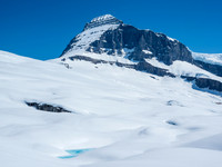 Mount Columbia with a tarn in the foreground.
