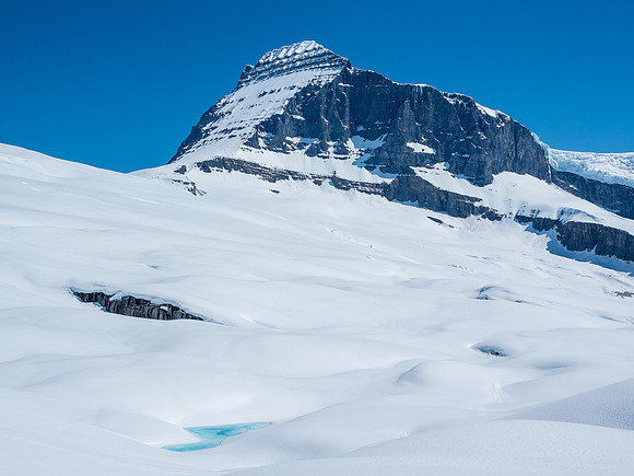 Mount Columbia with a tarn in the foreground.