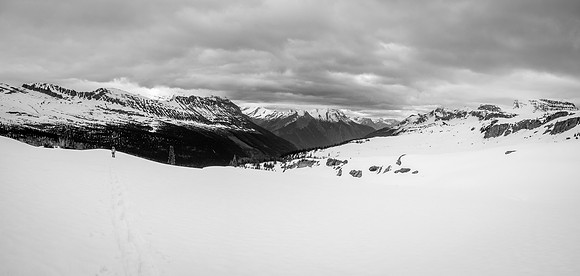 Ben comes up into a world of white and gray behind me as we gain the alpine.