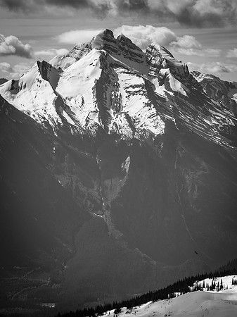 An eagle soars in the valley beneath the incredible hulking mass of Cockscomb Mountain.