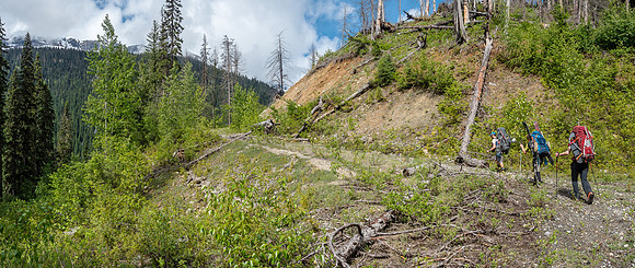 A hot trudge up the lower logging road as it switchbacks up the end of the 'handrail' ridge.