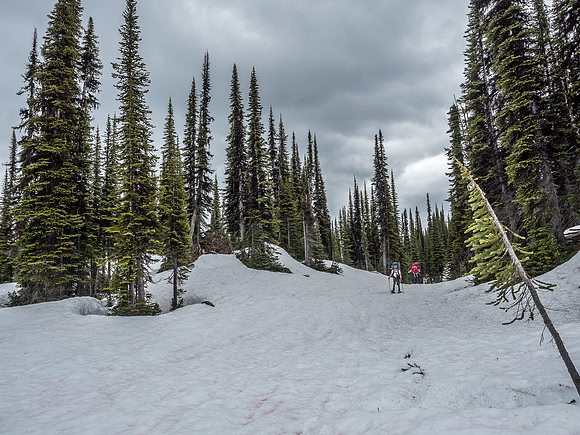 Breaking out of the forest and traversing very interesting gully features to the alpine.