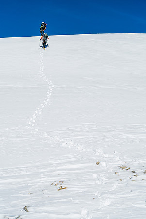 Ascending snow just below the summit.