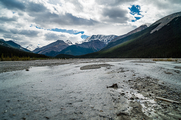 Crossing the Sunwapta River was easy in late summer.