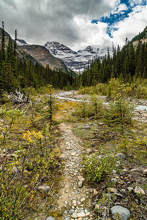 Once above the waterfall the trail varies between forest and stream bed (sometimes both) but should still be pretty obvious.
