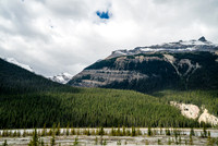 Little Alberta (Click to Load Album)