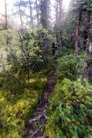 Back in the forest.
