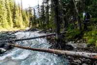 Woolley Creek is feisty lower down.