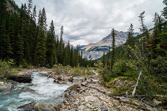 Looking back down Woolley Creek towards Tangle Ridge.