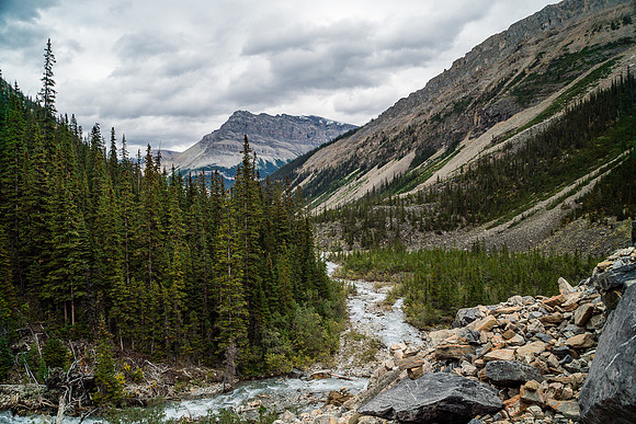 Looking back down at the ascent valley - Tangle Ridge in the distance across hwy #93.