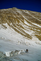 The endless scree slope above the glacier was as much fun as it looks. NONE.