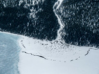 The Hargreaves shelter is down there somewhere at the mouth of Toboggan Creek which comes down the drainage visible in the trees.