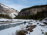 The skis are back on! Ben skins along the Robson River on route to the Emperor Hill just ahead to the right.