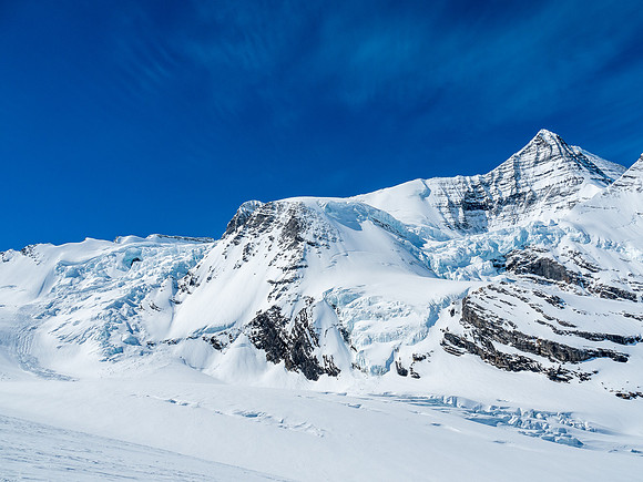 A beautiful world of snow, rock and ice. The Mousetrap at left with The Dome, Kain Face, Robson Cirque and Robson to the right of it.