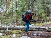 Essential skillz for spring ski trips include navigating through dead fall with no snow. ;)