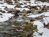 Clear, cold, refreshing. The Robson River.