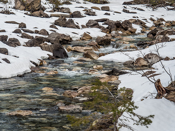 Clear, cold, refreshing. The Robson River.