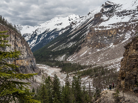 Cinnamon Peak rising in the distance and the Whitehorn Ranger station somewhere ahead on the Robson River flats below.