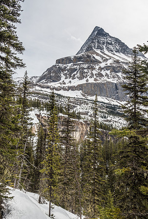 The always impressive and terrifying Emperor Ridge rises above us as we crest the Emperor Hill section of trail.