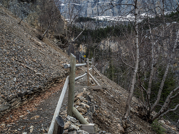 My favorite section of the trail to Berg Lake is the Emperor Hill section. It's also the most work!