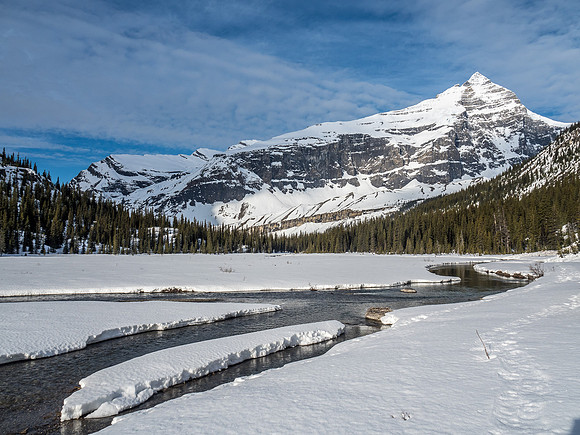 A gorgeous morning as we exit the Berg Lake flats alongside the Robson River with Whitehorn above.