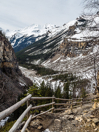 One of my favorite sections of the approach to Berg Lake is this section of trail up the Emperor Hill.