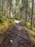 The trail to the Whitehorn campground is nice. And dry.