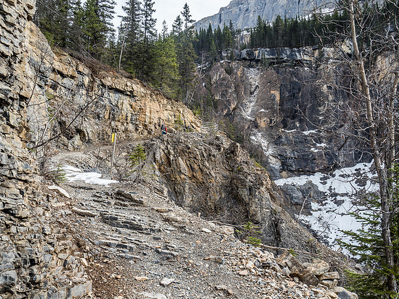 Curly Phillips was paid something like $50/mile to build the trail to Berg Lake and constructed his famous "flying trestle" somewhere near this spot