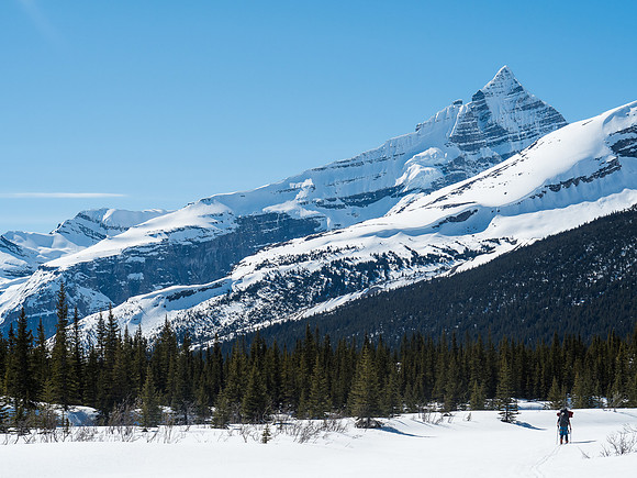 Ben skis down the drainage towards Berg Lake with Whitehorn rising dramatically above him.