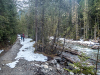 'Skiing' beside the Robson River.