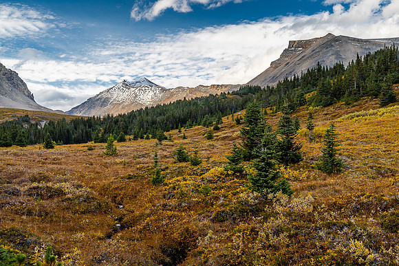 Hiking back to camp with Willis in the distance.