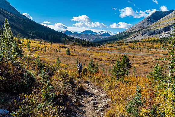 A beautiful hike back to the parking lot down Nigel Creek.