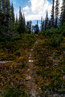 Hiking up the Cataract Creek trail.