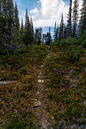 Hiking up the Cataract Creek trail.
