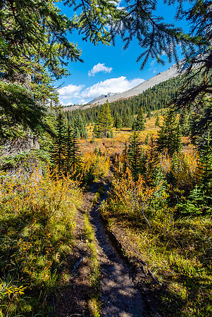 Gorgeous fall hiking on return from Nigel Pass.