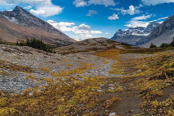 Scenic alpine meadows near the head of Cataract Creek. Mount Stewart rises on the left.
