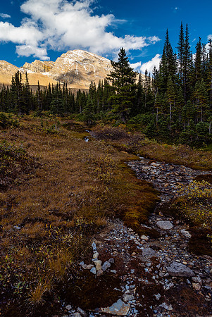 Hiking up the Cataract Creek trail.