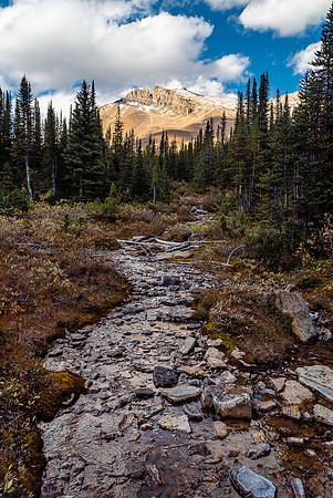 Hiking up the Cataract Creek trail.
